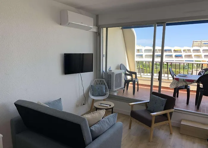 2 Pièces Rénové Avec Terrasse Et Climatisation à Port Camargue - Fr-1-731-152