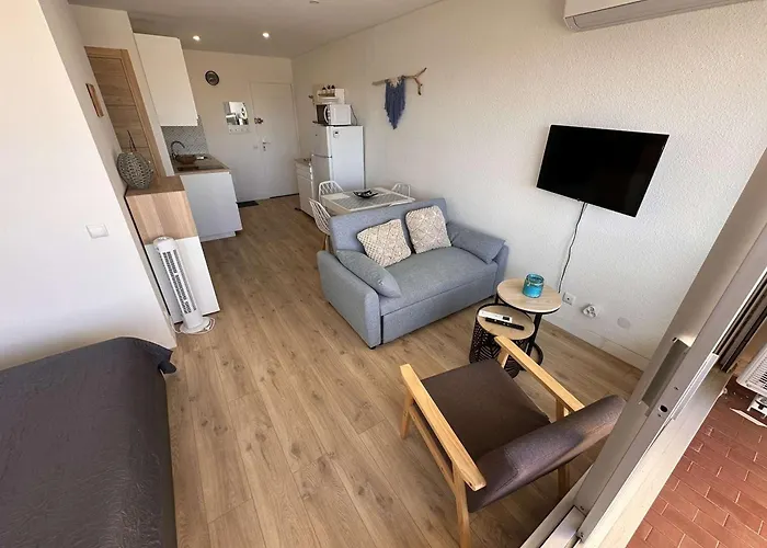 2 Pièces Rénové Avec Terrasse Et Climatisation à Port Camargue - Fr-1-731-152 Apartamento Le Grau-du-Roi