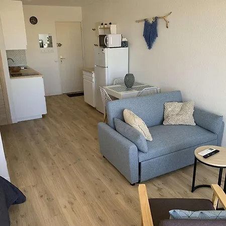 2 Pieces Renove Avec Terrasse Et Climatisation A Port Camargue - Fr-1-731-152 * Le Grau-du-Roi