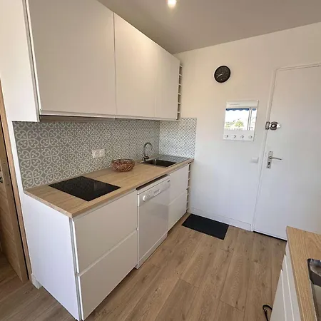 2 Pieces Renove Avec Terrasse Et Climatisation A Port Camargue - Fr-1-731-152