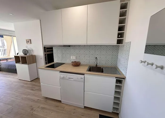 2 Pieces Renove Avec Terrasse Et Climatisation A Port Camargue - Fr-1-731-152 *