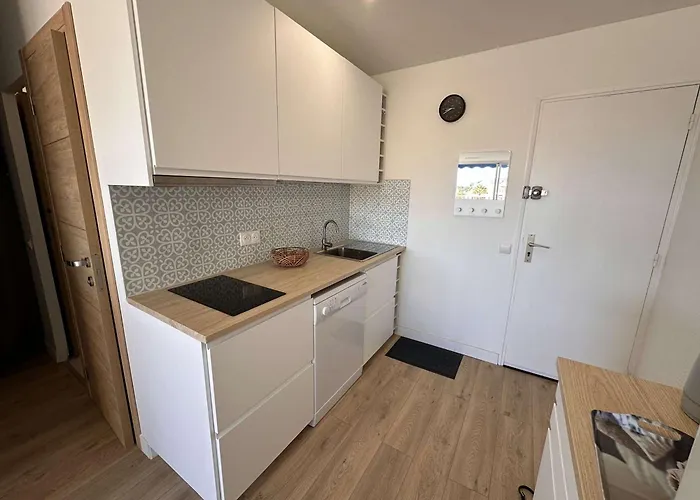 2 Pieces Renove Avec Terrasse Et Climatisation A Port Camargue - Fr-1-731-152
